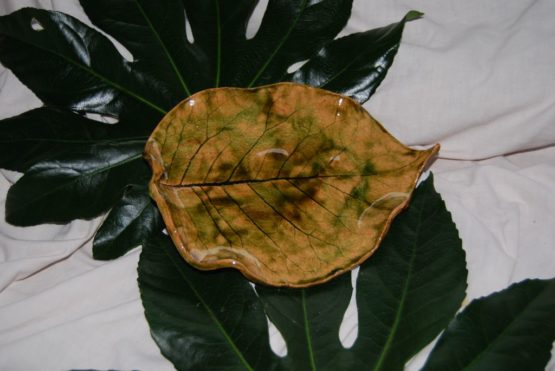 ceramiczny liść magnolii
